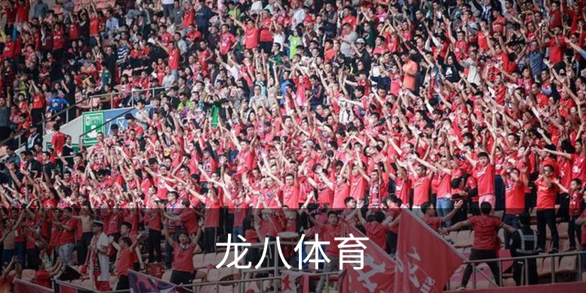 龙八体育简介